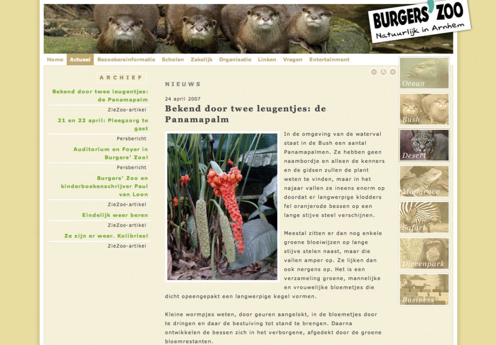 burgers_4